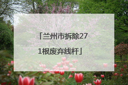 兰州市拆除271根废弃线杆
