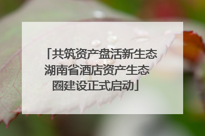 共筑资产盘活新生态 湖南省酒店资产生态圈建设正式启动