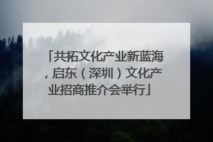 共拓文化产业新蓝海，启东（深圳）文化产业招商推介会举行