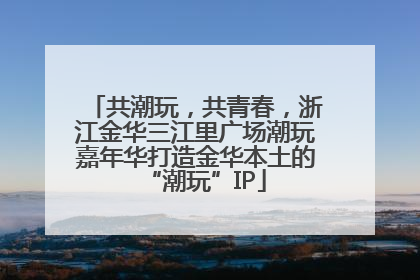 共潮玩，共青春，浙江金华三江里广场潮玩嘉年华打造金华本土的“潮玩”IP