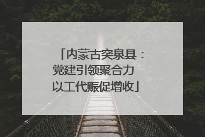 内蒙古突泉县：党建引领聚合力 以工代赈促增收
