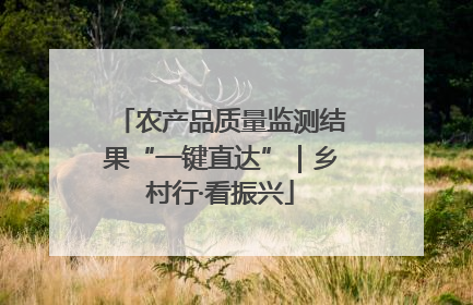 农产品质量监测结果“一键直达”｜乡村行·看振兴