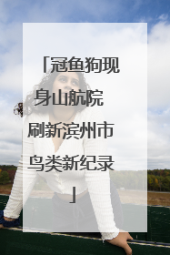 冠鱼狗现身山航院 刷新滨州市鸟类新纪录