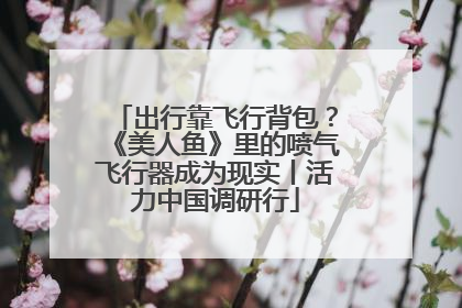 出行靠飞行背包？《美人鱼》里的喷气飞行器成为现实丨活力中国调研行