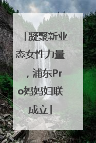凝聚新业态女性力量，浦东Pro妈妈妇联成立