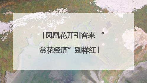 凤凰花开引客来 “赏花经济”别样红