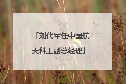 刘代军任中国航天科工副总经理
