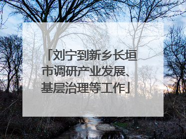 刘宁到新乡长垣市调研产业发展、基层治理等工作