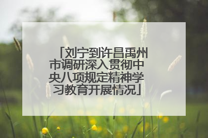 刘宁到许昌禹州市调研深入贯彻中央八项规定精神学习教育开展情况