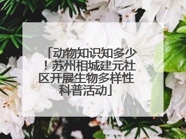 动物知识知多少！苏州相城建元社区开展生物多样性科普活动
