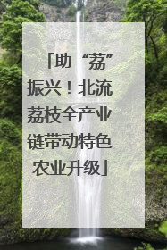 助“荔”振兴！北流荔枝全产业链带动特色农业升级