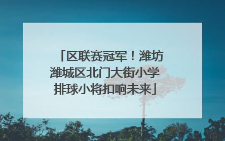 区联赛冠军！潍坊潍城区北门大街小学排球小将扣响未来