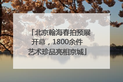 北京翰海春拍预展开幕，1800余件艺术珍品亮相京城