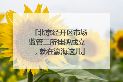 北京经开区市场监管二所挂牌成立，就在瀛海这儿