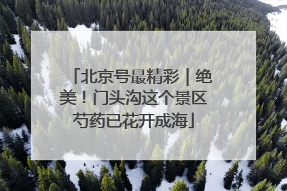 北京号最精彩｜绝美！门头沟这个景区芍药已花开成海