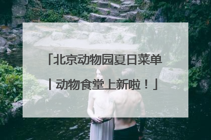 北京动物园夏日菜单丨动物食堂上新啦！