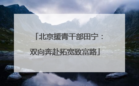 北京援青干部田宁：双向奔赴拓宽致富路