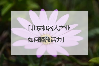 北京机器人产业如何释放活力