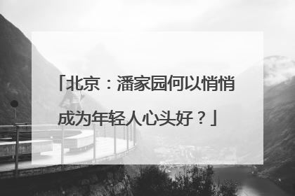 北京：潘家园何以悄悄成为年轻人心头好？
