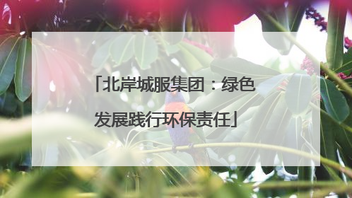 北岸城服集团：绿色发展践行环保责任