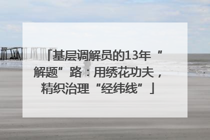 基层调解员的13年“解题”路：用绣花功夫，精织治理“经纬线”