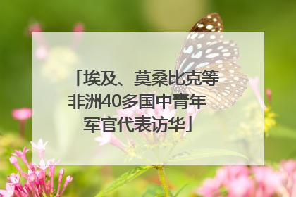埃及、莫桑比克等非洲40多国中青年军官代表访华