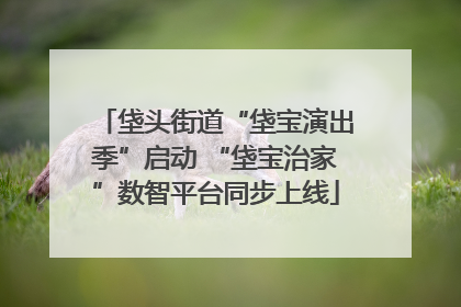 垡头街道“垡宝演出季”启动 “垡宝治家”数智平台同步上线