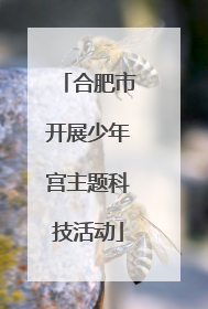 合肥市开展少年宫主题科技活动