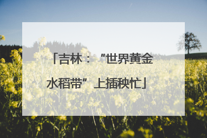 吉林：“世界黄金水稻带”上插秧忙