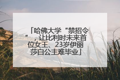 哈佛大学“禁招令”，让比利时未来首位女王、23岁伊丽莎白公主难毕业