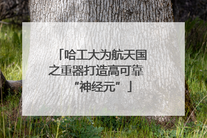 哈工大为航天国之重器打造高可靠“神经元”
