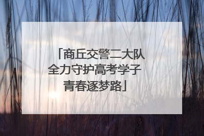 商丘交警二大队全力守护高考学子青春逐梦路