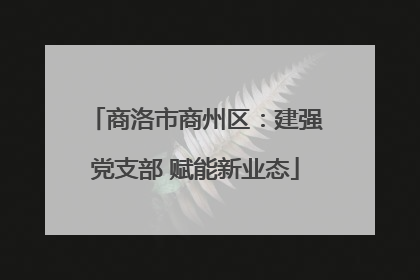 商洛市商州区：建强党支部 赋能新业态