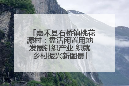 嘉禾县石桥镇桃花源村：盘活闲置用地发展针织产业 织就乡村振兴新图景