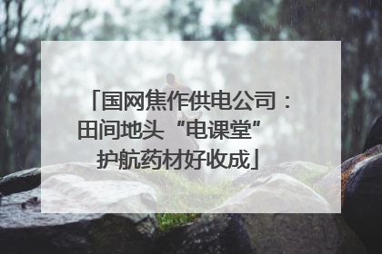 国网焦作供电公司：田间地头“电课堂” 护航药材好收成
