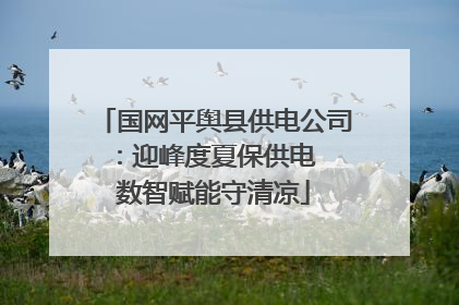 国网平舆县供电公司：迎峰度夏保供电  数智赋能守清凉