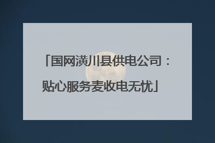 国网潢川县供电公司：贴心服务麦收电无忧