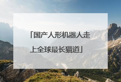 国产人形机器人走上全球最长猫道