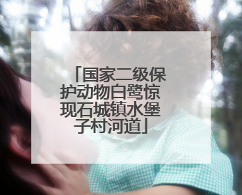 国家二级保护动物白鹭惊现石城镇水堡子村河道
