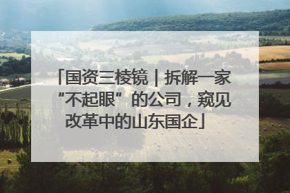 国资三棱镜｜拆解一家“不起眼”的公司，窥见改革中的山东国企