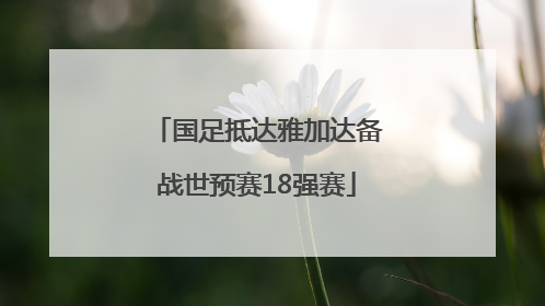 国足抵达雅加达备战世预赛18强赛