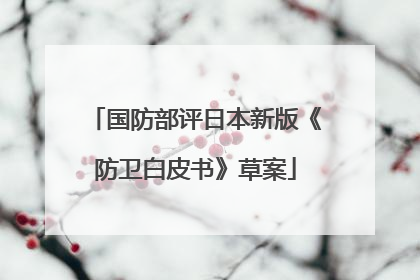国防部评日本新版《防卫白皮书》草案