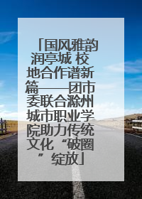 国风雅韵润亭城 校地合作谱新篇——团市委联合滁州城市职业学院助力传统文化“破圈”绽放