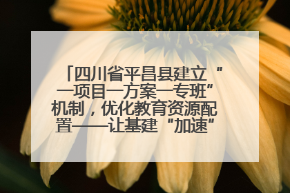 四川省平昌县建立“一项目一方案一专班”机制，优化教育资源配置——让基建“加速”，为成长“铺路”