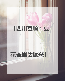 四川富顺：豆花香里话振兴