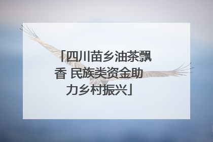 四川苗乡油茶飘香 民族类资金助力乡村振兴