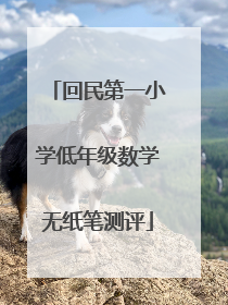 回民第一小学低年级数学无纸笔测评