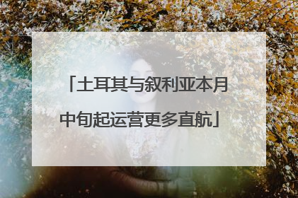 土耳其与叙利亚本月中旬起运营更多直航
