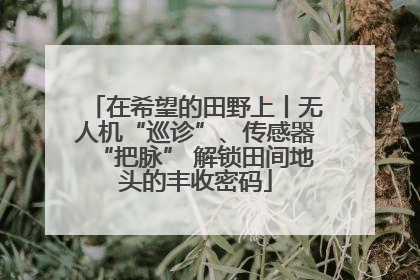 在希望的田野上丨无人机“巡诊”、传感器“把脉” 解锁田间地头的丰收密码