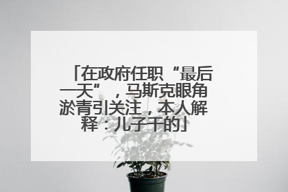 在政府任职“最后一天”，马斯克眼角淤青引关注，本人解释：儿子干的